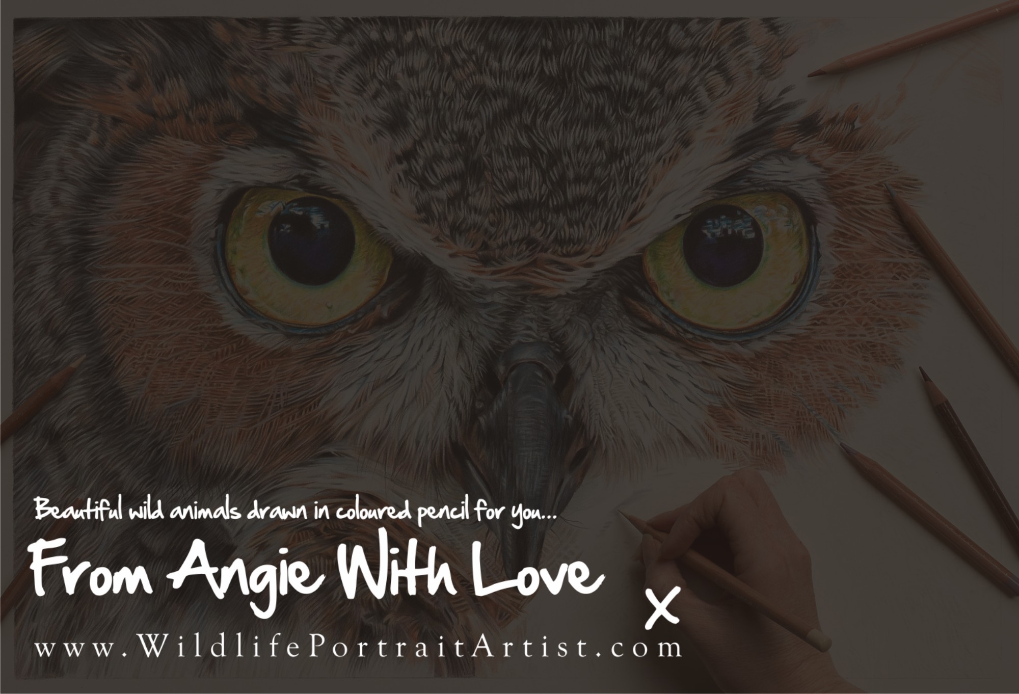 Beautiful animals drawn in coloured pencil, from wildlife portrait artist Angie, with love x