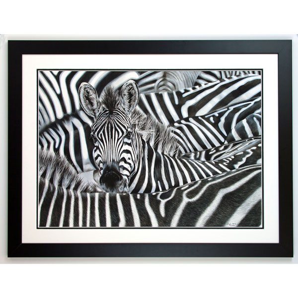 Lost in a Crowd Framed Zebra Portrait