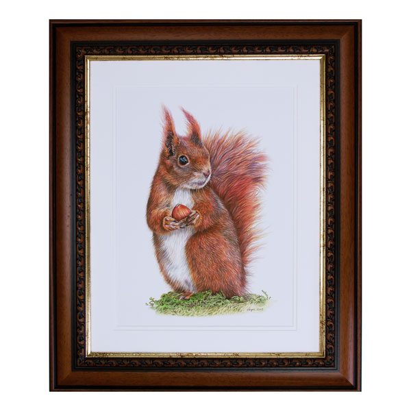 Caching In Red Squirrel Portrait Framed