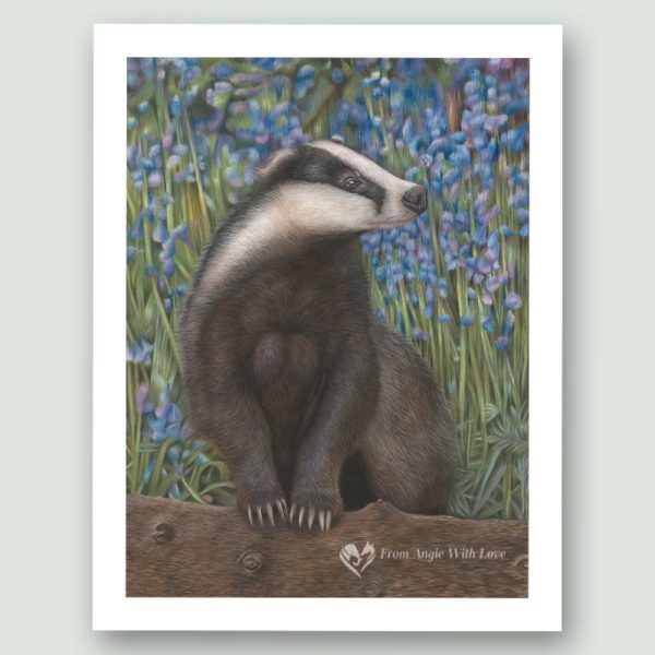 'Bluebell Wood' Badger portrait, by wildlife artist Angie x
