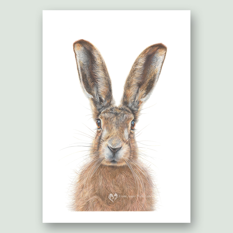 Mr Brambles Hare portrait, by wildlife artist From Angie with Love x