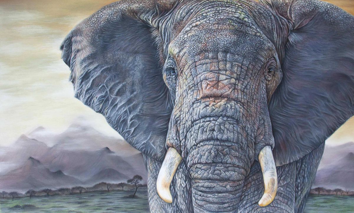 Tembo - African Elephant Portrait by Wildlife Artist Angie