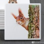Red Squirrel Coaster - Red Alert