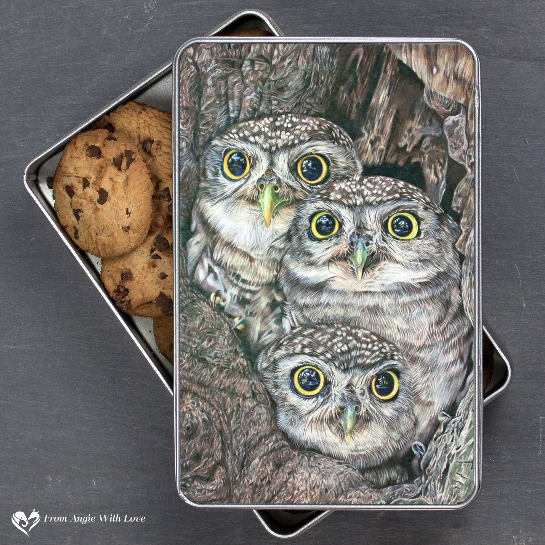 Little Owl Biscuit Tin - Fledging Day