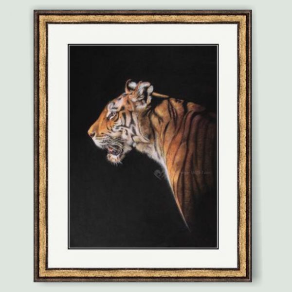 'The Huntress' - Bengal Tiger art print in pewter frame by wildlife artist Angie