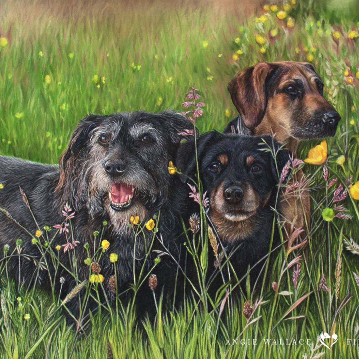 Roxie, Angel and Brock - coloured pastel dog portrait by pet artist Angie.