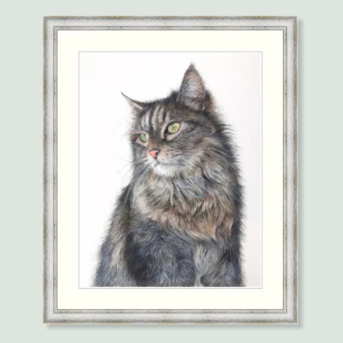 Charlie - coloured pencil cat portrait by pet artist Angie.