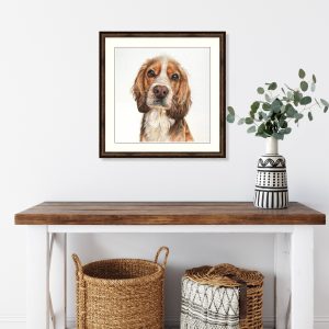 Charlie - coloured pencil Cocker Spaniel portrait by pet artist Angie.