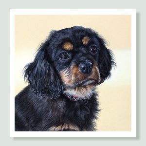 Coco - coloured pastel Cavalier King Charles Spaniel portrait by pet artist Angie.