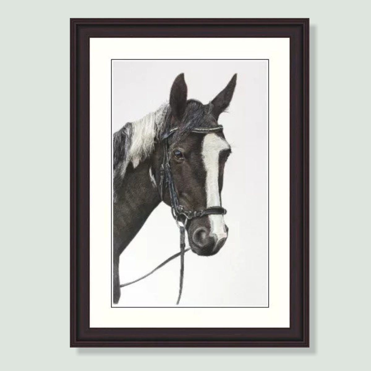 Melody - coloured pencil horse portrait by pet artist Angie.