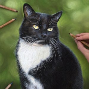 Mog - coloured pastel cat portrait by pet artist Angie.