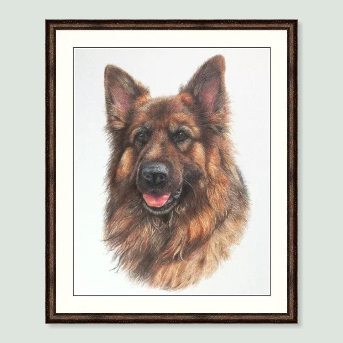 Theia - coloured Pencil German Shepherd Dog portrait by pet artist Angie.
