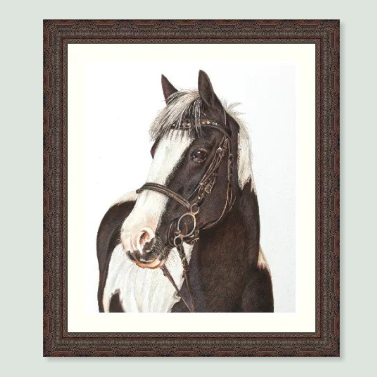 Gem - coloured pencil horse portrait by pet artist Angie.