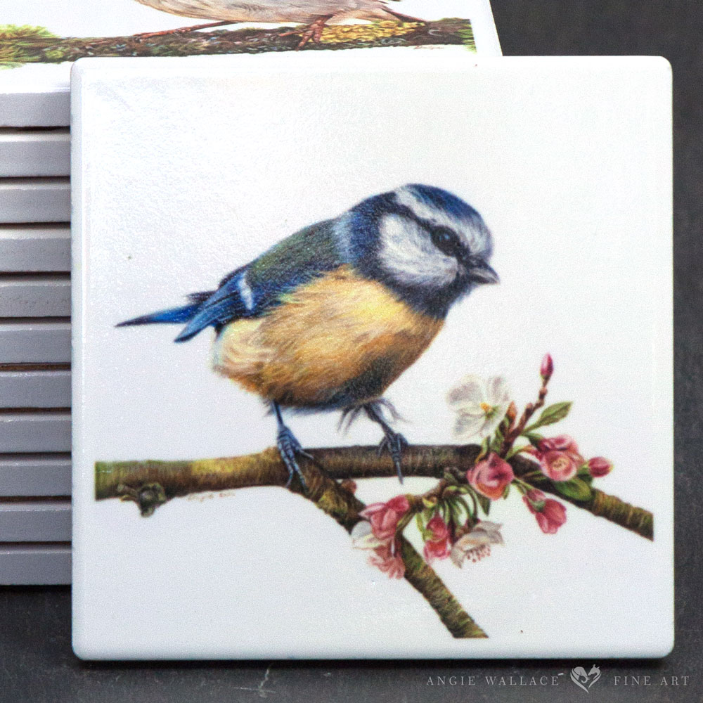 UK Garden Bird Collection - Blue Tit ceramic coaster by wildlife artist Angie