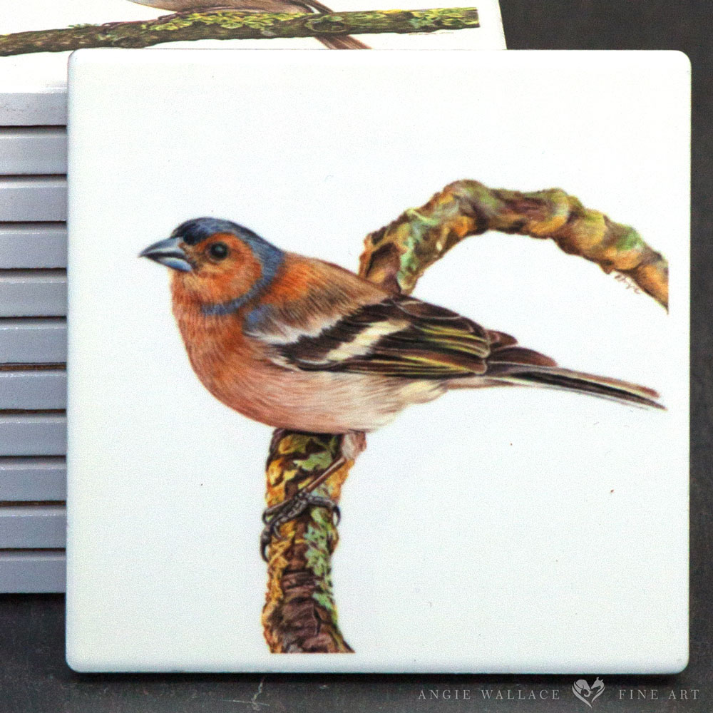 UK Garden Bird Collection - Chaffinch ceramic coaster by wildlife artist Angie.