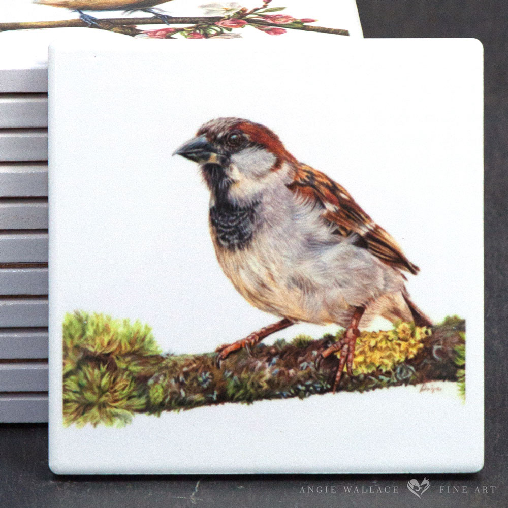 UK Garden Bird Collection - Sparrow ceramic coaster by wildlife artist Angie.