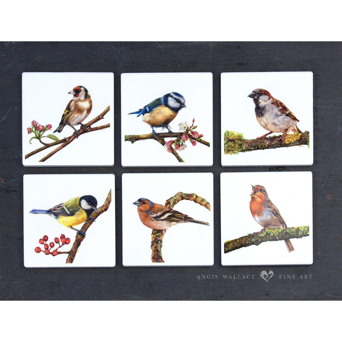 UK Garden Bird Collection - ceramic coaster set by wildlife artist Angie.