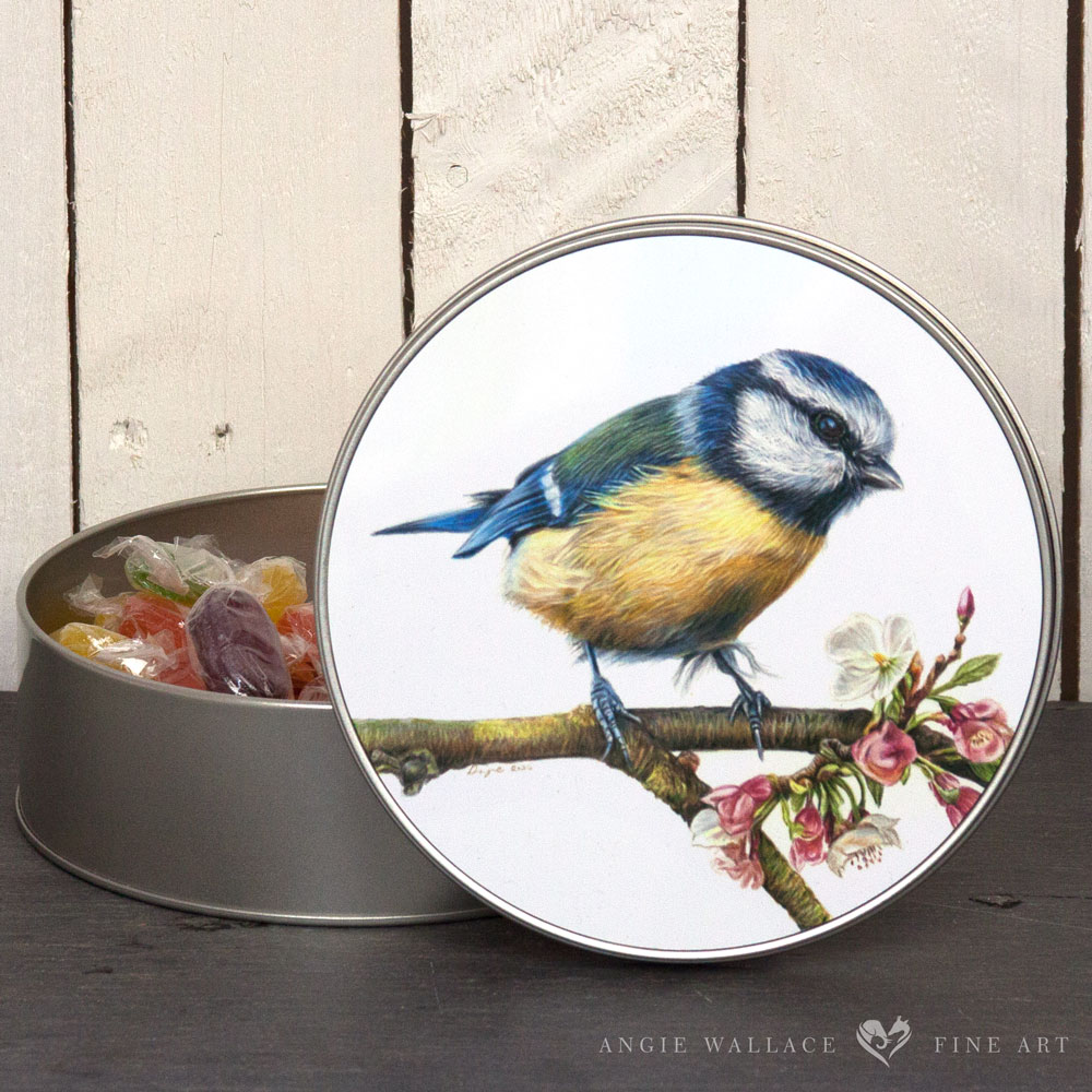 UK Garden Bird Collection - Blue Tit round storage tin by wildlife artist Angie.