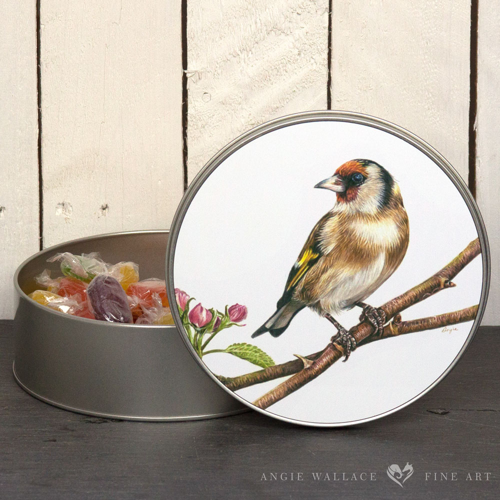 UK Garden Bird Collection - Goldfinch round storage tin by wildlife artist Angie
