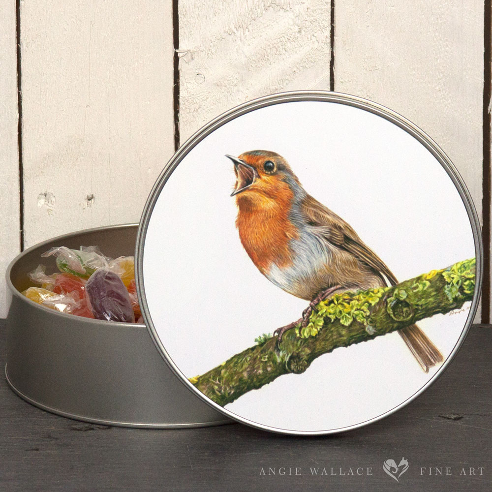 UK Garden Bird Collection - Robin round storage tin by wildlife artist Angie.