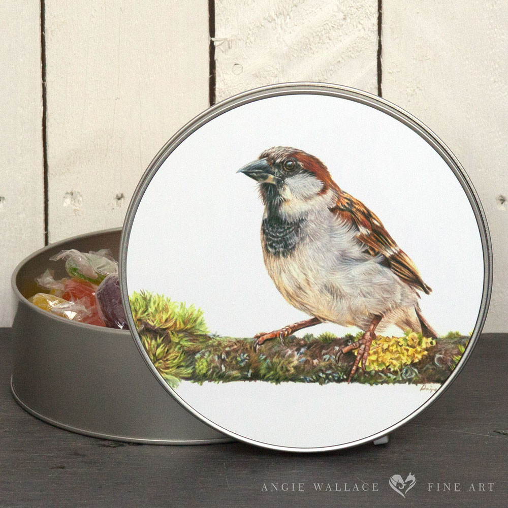 UK Garden Bird Collection - Sparrow round storage tin by wildlife artist Angie.