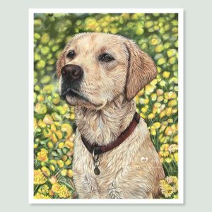 Mya - coloured pastel Labrador Retriever portrait by pet artist Angie.