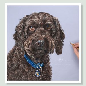 Riley - coloured pastel Cockapoo portrait by pet artist Angie.