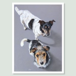 Billy & Wilbur - coloured pastel Jack Russell Terrier portrait