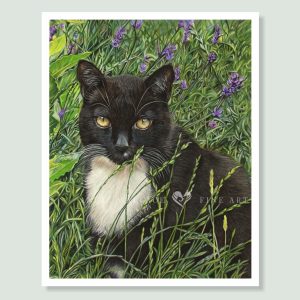Bootsie - coloured pencil cat portrait by pet artist Angie.