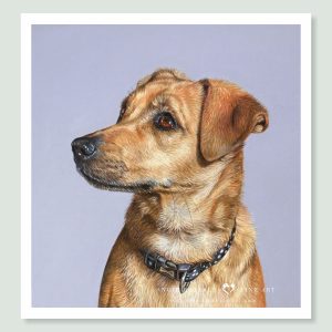 Lilly - coloured pastel Terrier portrait by pet artist Angie.