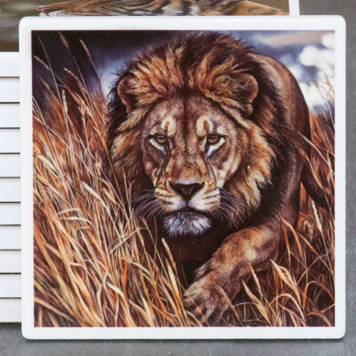 'Night Stalker' Lion ceramic coaster by wildlife artist Angie.