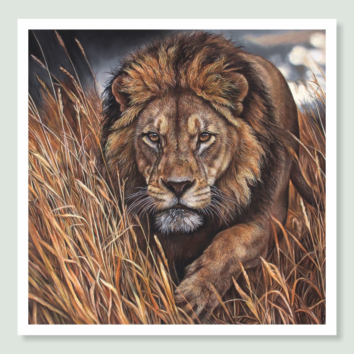 'Night Stalker' Lion Portrait by Wildlife Artist Angie